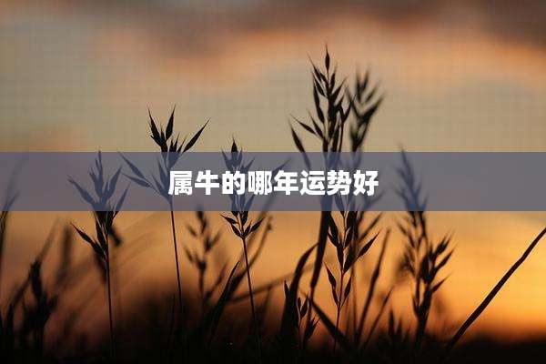 属牛的哪年运势好