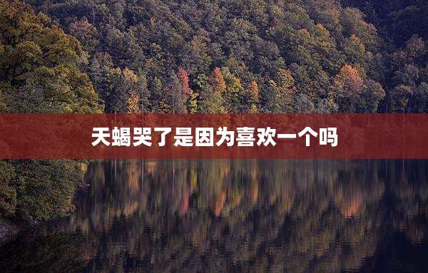 天蝎哭了是因为喜欢一个吗