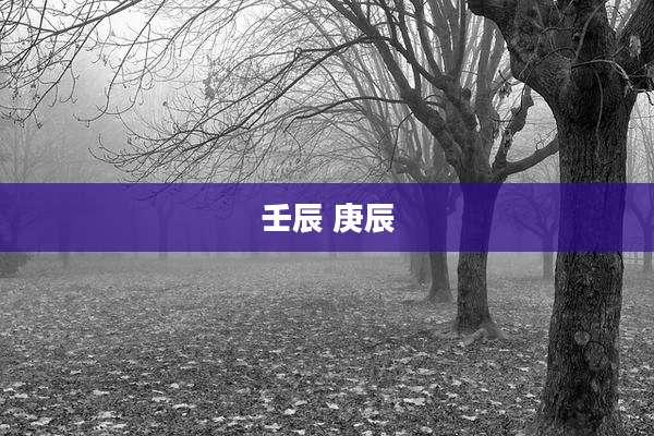 壬辰 庚辰