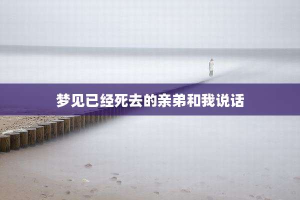 梦见已经死去的亲弟和我说话