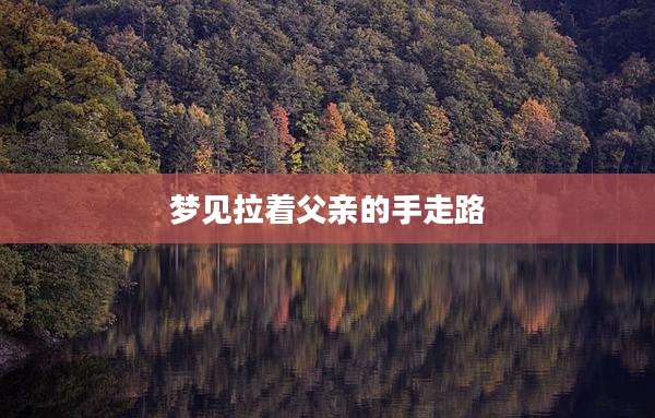 梦见拉着父亲的手走路