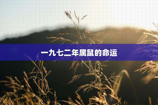 一九七二年属鼠的命运