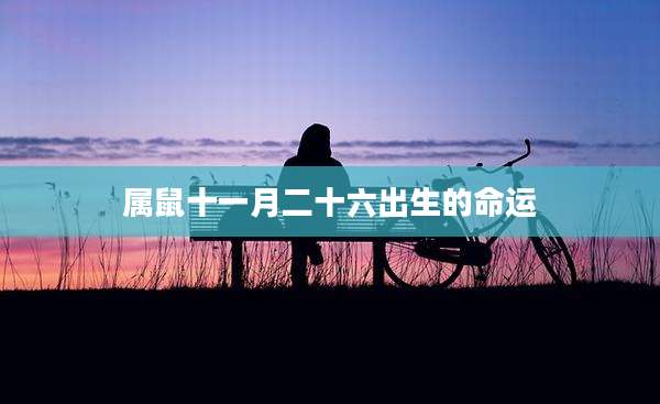 属鼠十一月二十六出生的命运