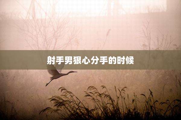 射手男狠心分手的时候