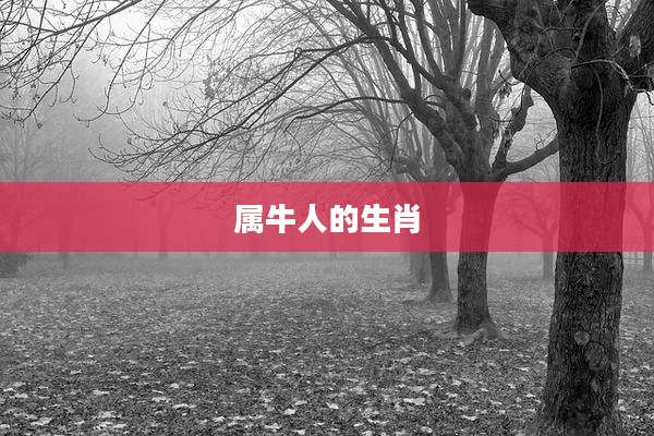属牛人的生肖