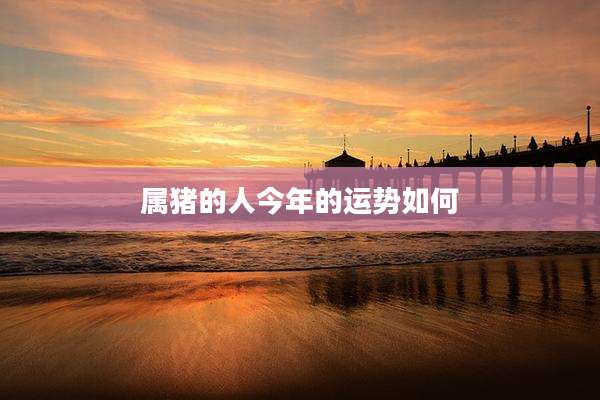 属猪的人今年的运势如何