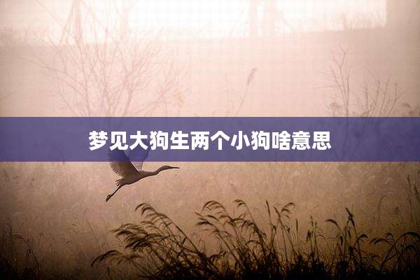 梦见大狗生两个小狗啥意思