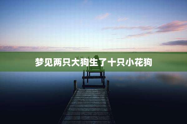 梦见两只大狗生了十只小花狗