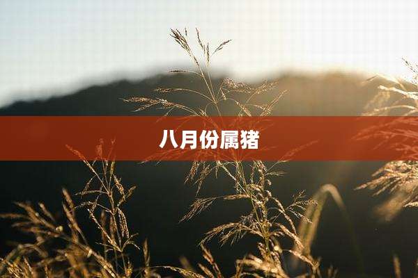 八月份属猪
