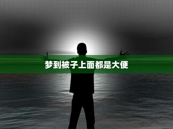 梦到被子上面都是大便
