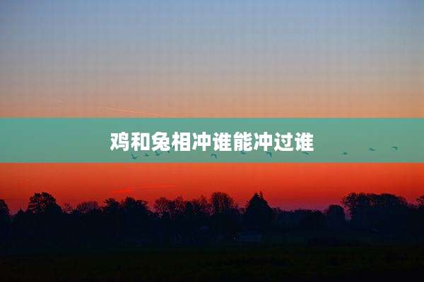 鸡和兔相冲谁能冲过谁