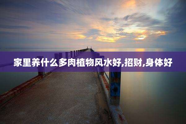 家里养什么多肉植物风水好,招财,身体好