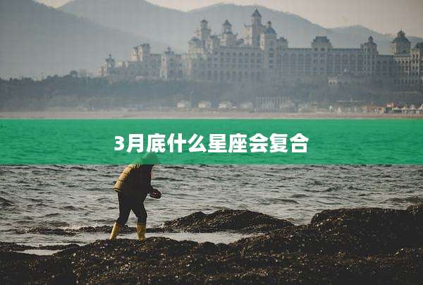 3月底什么星座会复合