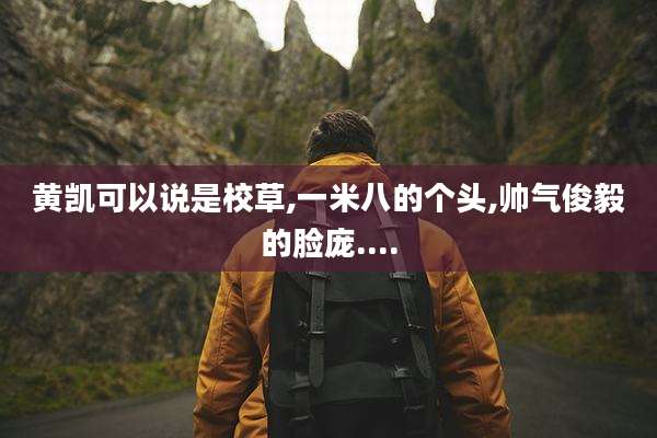 黄凯可以说是校草,一米八的个头,帅气俊毅的脸庞....