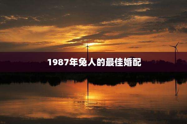 1987年兔人的最佳婚配
