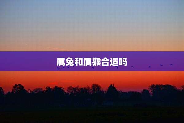 属兔和属猴合适吗