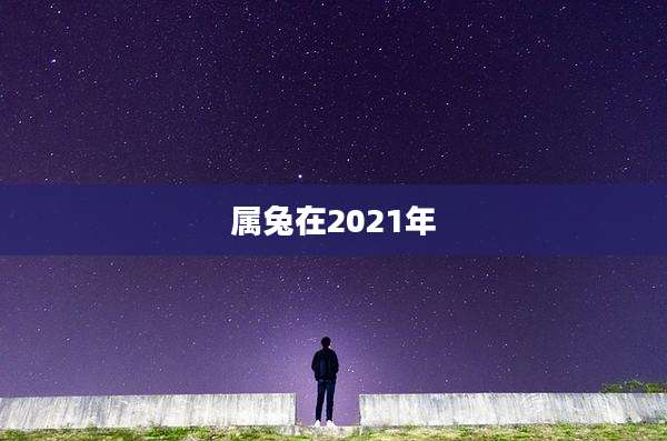 属兔在2021年