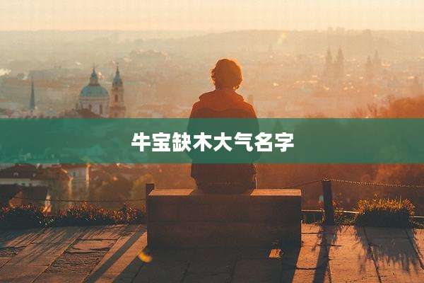 牛宝缺木大气名字