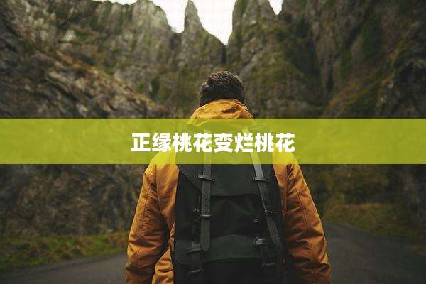 正缘桃花变烂桃花