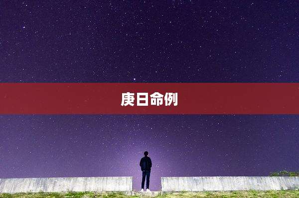 庚日命例