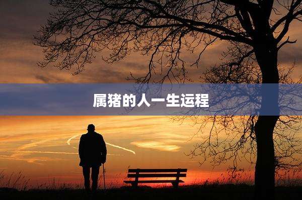 属猪的人一生运程