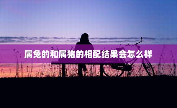 属兔的和属猪的相配结果会怎么样