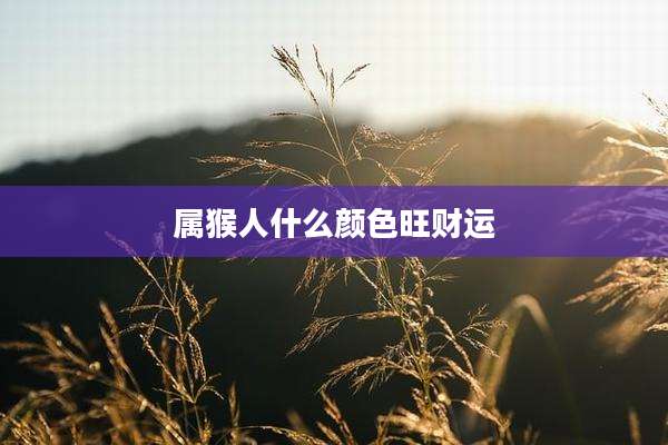 属猴人什么颜色旺财运
