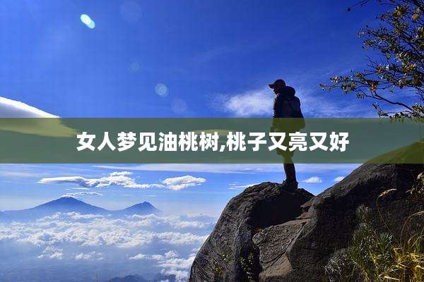 女人梦见油桃树,桃子又亮又好