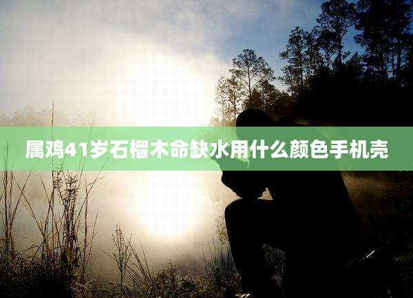 属鸡41岁石榴木命缺水用什么颜色手机壳