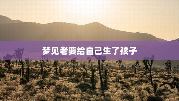 梦见老婆给自己生了孩子