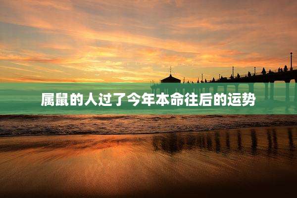 属鼠的人过了今年本命往后的运势