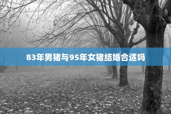 83年男猪与95年女猪结婚合适吗