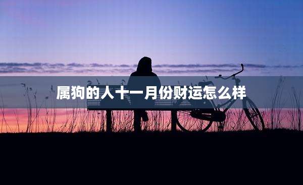 属狗的人十一月份财运怎么样