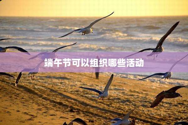 端午节可以组织哪些活动