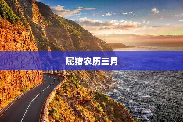 属猪农历三月