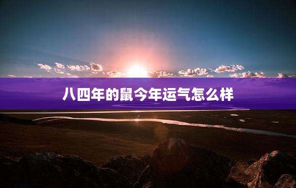 八四年的鼠今年运气怎么样