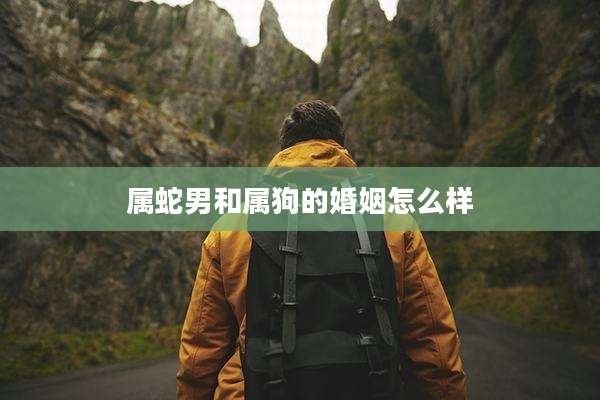 属蛇男和属狗的婚姻怎么样