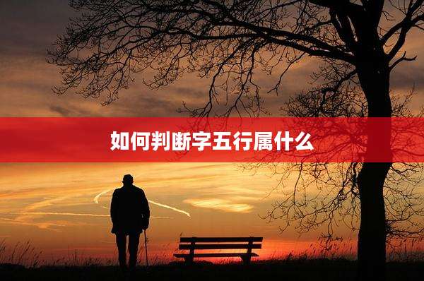 如何判断字五行属什么