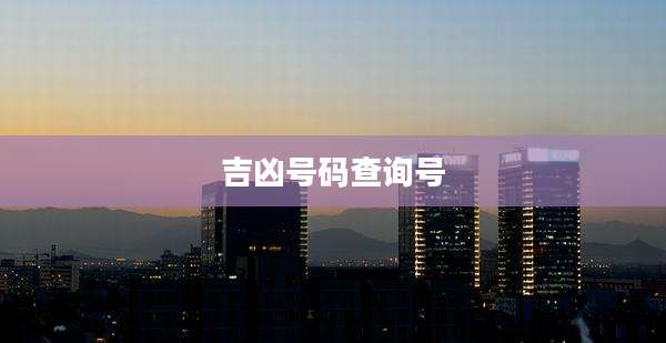 吉凶号码查询号