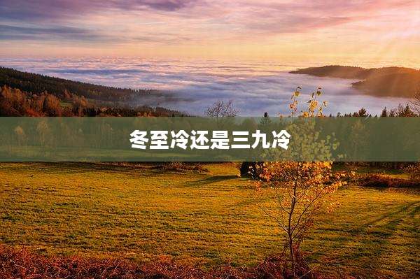 冬至冷还是三九冷