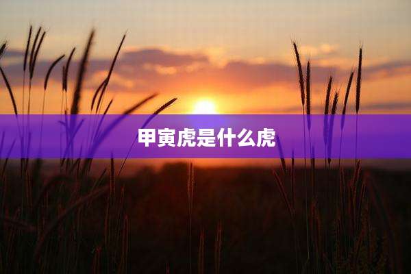 甲寅虎是什么虎