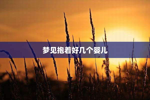 梦见抱着好几个婴儿