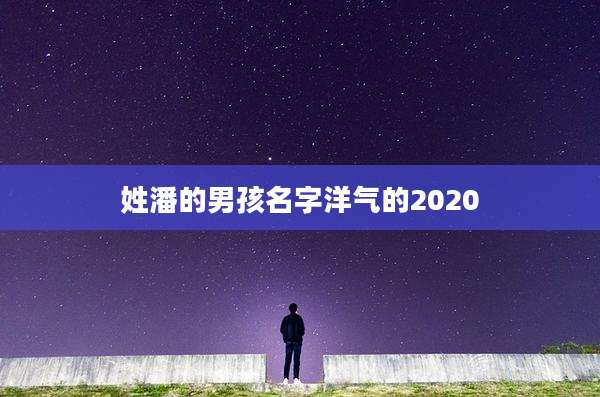 姓潘的男孩名字洋气的2020