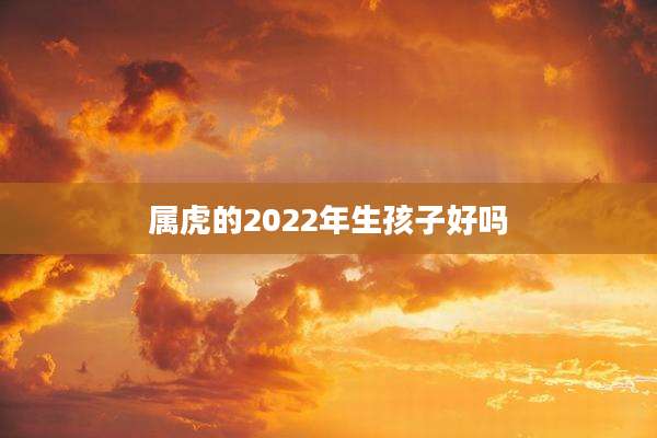 属虎的2022年生孩子好吗