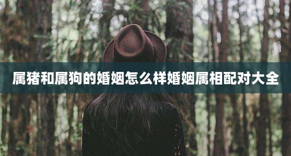 属猪和属狗的婚姻怎么样婚姻属相配对大全