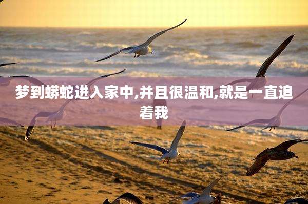 梦到蟒蛇进入家中,并且很温和,就是一直追着我