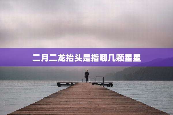二月二龙抬头是指哪几颗星星