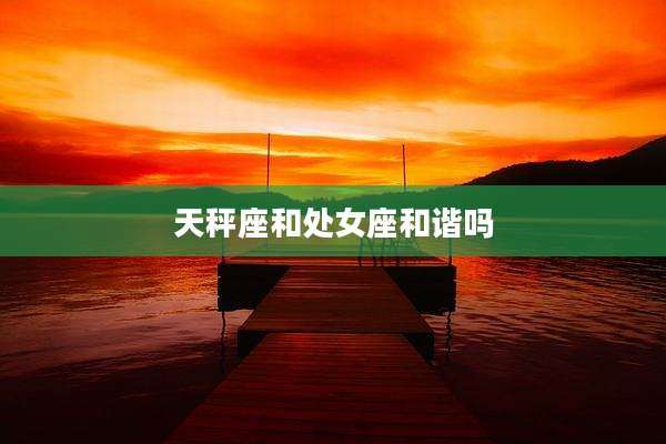 天秤座和处女座和谐吗