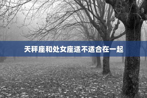 天秤座和处女座适不适合在一起