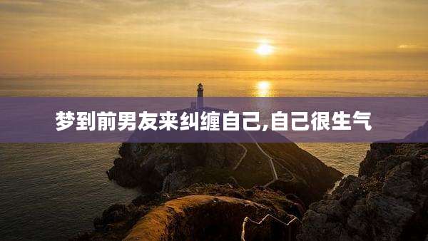 梦到前男友来纠缠自己,自己很生气